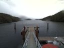 ./images/calvert/dock/20180125/dock20180125_154502.jpg