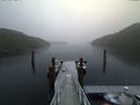 ./images/calvert/dock/20180126/dock20180126_132504.jpg