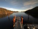 ./images/calvert/dock/20180127/dock20180127_151502.jpg