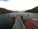 ./images/calvert/dock/20180129/dock20180129_120002.jpg