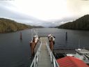 ./images/calvert/dock/20180129/dock20180129_133502.jpg