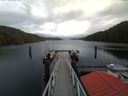 ./images/calvert/dock/20180130/dock20180130_132503.jpg