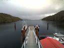 ./images/calvert/dock/20180130/dock20180130_135004.jpg