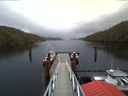 ./images/calvert/dock/20180130/dock20180130_142504.jpg