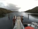 ./images/calvert/dock/20180130/dock20180130_151004.jpg