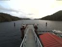 ./images/calvert/dock/20180131/dock20180131_112504.jpg