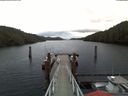 ./images/calvert/dock/20180201/dock20180201_090502.jpg