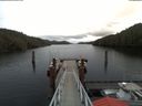 ./images/calvert/dock/20180201/dock20180201_092001.jpg