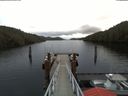 ./images/calvert/dock/20180201/dock20180201_092503.jpg