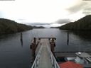./images/calvert/dock/20180201/dock20180201_093002.jpg