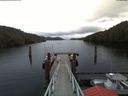 ./images/calvert/dock/20180201/dock20180201_093501.jpg