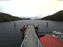 ./images/calvert/dock/20180201/dock20180201_112502.jpg