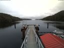 ./images/calvert/dock/20180202/dock20180202_131504.jpg