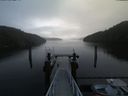 ./images/calvert/dock/20180205/dock20180205_112505.jpg
