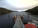 ./images/calvert/dock/20180205/dock20180205_143503.jpg