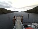./images/calvert/dock/20180206/dock20180206_140004.jpg