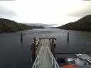 ./images/calvert/dock/20180207/dock20180207_101504.jpg