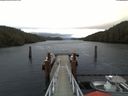 ./images/calvert/dock/20180207/dock20180207_103003.jpg