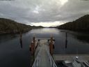 ./images/calvert/dock/20180210/dock20180210_154502.jpg