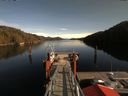 ./images/calvert/dock/20180212/dock20180212_133503.jpg