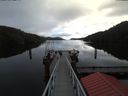 ./images/calvert/dock/20180214/dock20180214_110503.jpg