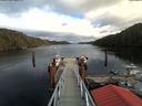 ./images/calvert/dock/20180214/dock20180214_134004.jpg