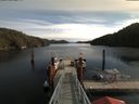 ./images/calvert/dock/20180219/dock20180219_113503.jpg