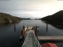 ./images/calvert/dock/20180219/dock20180219_115502.jpg
