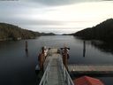 ./images/calvert/dock/20180219/dock20180219_120502.jpg