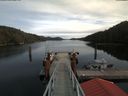 ./images/calvert/dock/20180219/dock20180219_132504.jpg