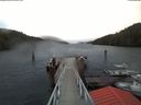 ./images/calvert/dock/20180228/dock20180228_085504.jpg