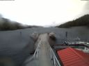 ./images/calvert/dock/20180228/dock20180228_102504.jpg