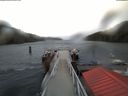 ./images/calvert/dock/20180228/dock20180228_121004.jpg