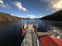 ./images/calvert/dock/20180301/dock20180301_141004.jpg