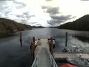 ./images/calvert/dock/20180305/dock20180305_113504.jpg