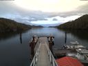 ./images/calvert/dock/20180309/dock20180309_175504.jpg