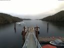 ./images/calvert/dock/20180319/dock20180319_114002.jpg