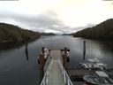 ./images/calvert/dock/20180321/dock20180321_120504.jpg