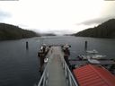 ./images/calvert/dock/20180329/dock20180329_124504.jpg