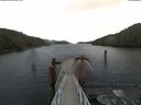 ./images/calvert/dock/20180405/dock20180405_104504.jpg