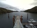 ./images/calvert/dock/20180406/dock20180406_112504.jpg