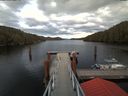 ./images/calvert/dock/20180407/dock20180407_190504.jpg