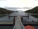 ./images/calvert/dock/20180411/dock20180411_134503.jpg