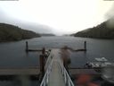 ./images/calvert/dock/20180419/dock20180419_131002.jpg
