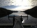 ./images/calvert/dock/20180429/dock20180429_090502.jpg