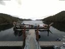./images/calvert/dock/20180430/dock20180430_073004.jpg