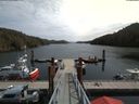 ./images/calvert/dock/20180502/dock20180502_123502.jpg