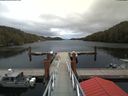 ./images/calvert/dock/20180503/dock20180503_152501.jpg