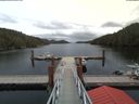 ./images/calvert/dock/20180504/dock20180504_161502.jpg