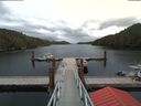./images/calvert/dock/20180504/dock20180504_163504.jpg